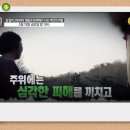 개엄마 이미지