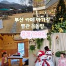 부산기장 대형카페 아기랑 놀기좋은 잔디밭 황토방 카페 유정1995