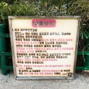 씨유강릉입압강변로점 | 강릉 포토스팟 아이랑 가기 좋은 대관령아기동물농장 다녀온 후기