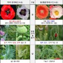 제주시 서부보건소 이미지