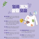 연일세탁 이미지