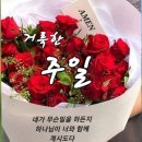 토요일, 일요일 이미지