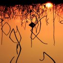 용호농장 2 이미지