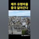 '공짜 점심은 없다' 일본 거품경제의 시작과 끝 | KBS 스페셜 “도쿄 1991” | 부동산 밀착 다큐 시리즈 이미지