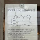 위아 | 평택역카페 위아밀 후기