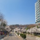 신동아세탁소 이미지