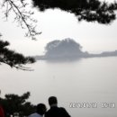 동백정 이미지