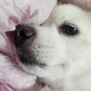 잘있어라 7월