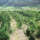 무림농장 이미지