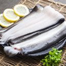 토종풍천민물장어 이미지