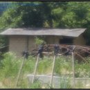 월전리고지절경로당 | 안동시 북후면 월전리 117-2 토지(대지)경매