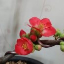 알플러스치과의원 이미지