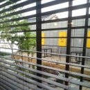 단지커피 이미지