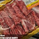 보성체육관 | 울산 소고기 맛집 무거동 보성녹돈 명품한우 문수 축구장 근처 고기집