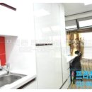 서련코아 이미지