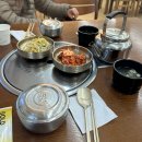 금손정 | 대구공항 근처 금손정, 육회비빔밥 내돈내산 솔직후기