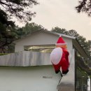 포크테일(folktale)