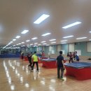 영동군민탁구장 이미지