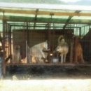 신학농장 이미지