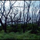 공곶이가는길 이미지