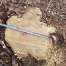 은평-038 이미지