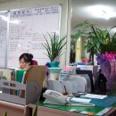 금보상사 이미지