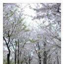 국사봉체육관 이미지