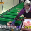 중식농장 이미지