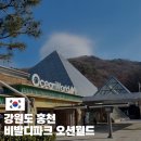 오션월드 입장권 할인 겨울 가격과 준비물 아이랑 함께 다녀온 후기