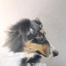 동그라미미술교습소 - 북구 서강로54번길 22 | 동그라미미술교습소