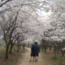 영종도2차 풍림아이원1단지 이미지