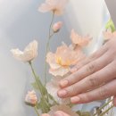 라몽NAIL라몽네일