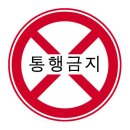 안산벚꽃음악회 이미지