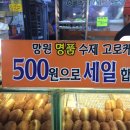 망원고로케