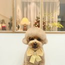 푸드르르 이미지