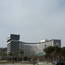 부여전자 | 롯데리조트 부여 캐릭터 스위트 빼빼로룸 후기｜20개월 아기랑 다녀온 키즈 숙소