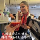 에델바이스 | Edelweiss air 에델바이스 항공 스위스 탑승 후기 좌석 기내식