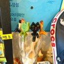 아꼬아가게 | 제주여행 맛집 우진해장국 / 아꼬아가게 방문 후기