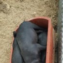 나누리농원 이미지