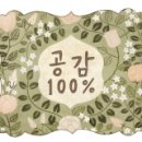 유자몽 이미지