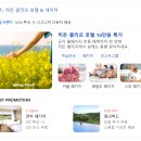 [제주]1일차 마무리 라마다 제주 시티홀호텔 동문시장...주차 꿀팁 /제주 히든클리프 네이처 예약 후기 🫶🏻