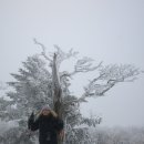 화전사거리(북서쪽) | 태백/정선, 태백산 ~ 함백산 종주 1일차 3부...