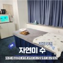 자연미수
