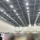 렙타일링크 | 2025 10월 대구 엑스코 렙타일페어 후기 🦎 + 11월 파충류 박람회 일정