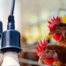 우광농장 이미지