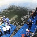 하동남부발전소 하동화력본부 이미지