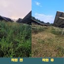 가연1호 태양광발전소 이미지