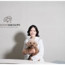별내동물병원 이미지