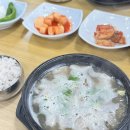 2026-14. 부처핸썸