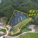 귀촌공인중개사사무소 이미지